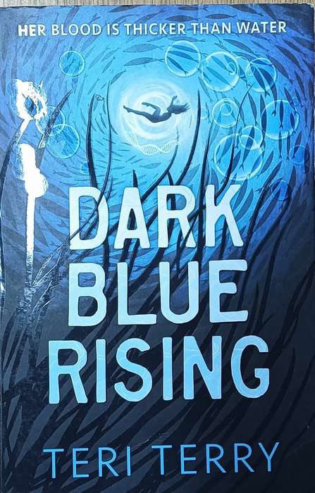 Dark Blue Rising - Teri Terry - Softcover - 390 pages