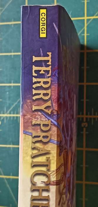 The Wee Free Men - Terry Pratchett - Softcover - 318 Pages