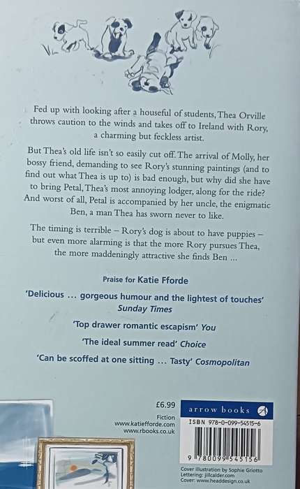 Artistic Licence - Katie Fforde - Softcover - 354 pages