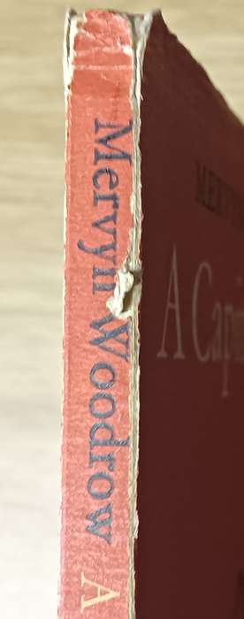 Capital Affair - A Satirical Novel by Merwyn Woodrow 1967 - Softcover - 95 pages