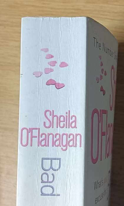 Bad Behaviour - Sheila O'Flanagan - Softcover - 598 pages