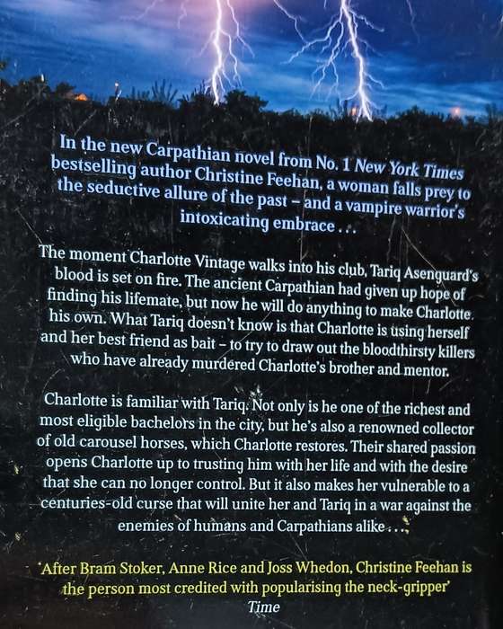 Dark Carousel - Christine Feehan - Softcover - 460 pages