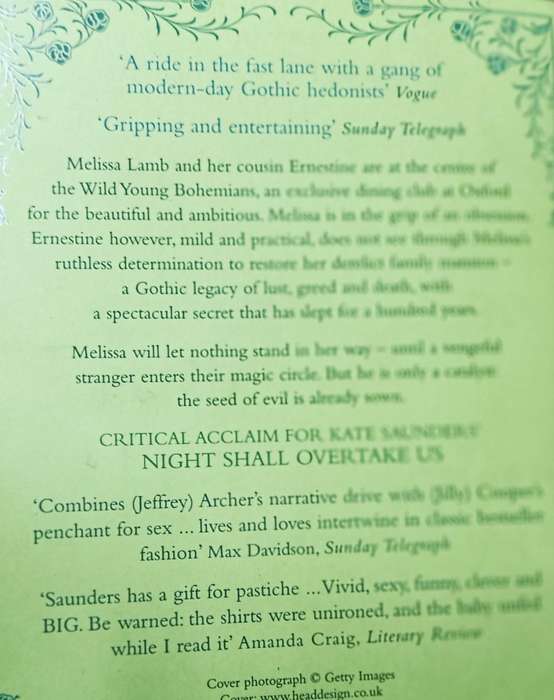 Wild Young Bohemians - Kate Saunders - Softcover - 413 pages