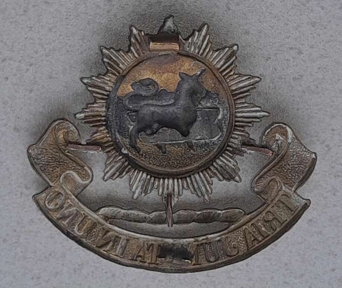GREY HIGH SCHOOL CADET CORPS CAP BADGE