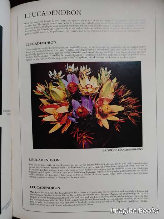 Proteas - Nature's Pride