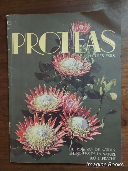 Proteas - Nature's Pride