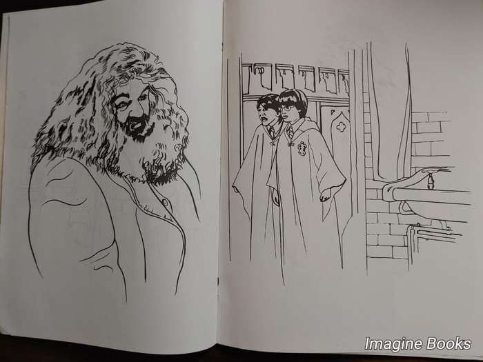 Harry Potter and the Sorcerer's Stone - Coloring Adventures - Friendship
