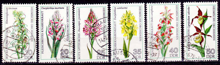 GERMANY DDR 1976, 15 June. ORCHIDS, set, UH, CV +/-R 60.00 view scans
