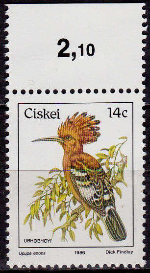 CISKEI 1986, 1 April. BIRDS - AFRICA HOOPOE, single, MNH, CV R 1.00, view scans