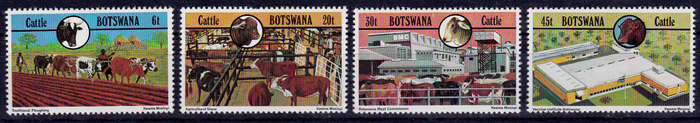 BOTSWANA, 1981. Cattle industry. Full set