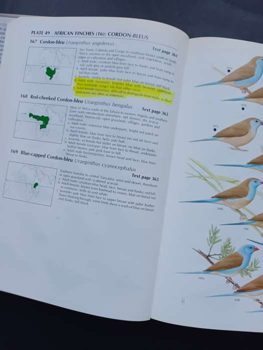 FINCHES & SPARROWS : An Identification Guide / Peter Clement, Alan Harris & John Davis