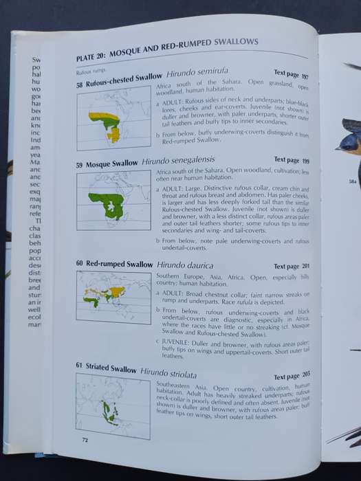 A Handbook to the Swallows and Martins of the World / Angela Turner & Chris Rose