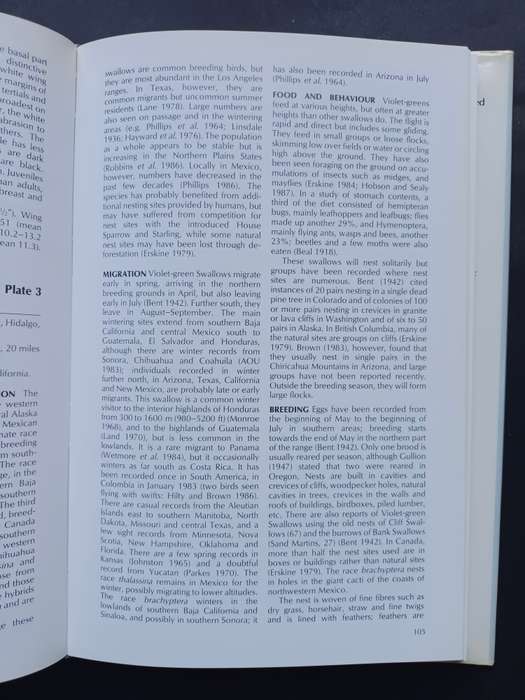 A Handbook to the Swallows and Martins of the World / Angela Turner & Chris Rose