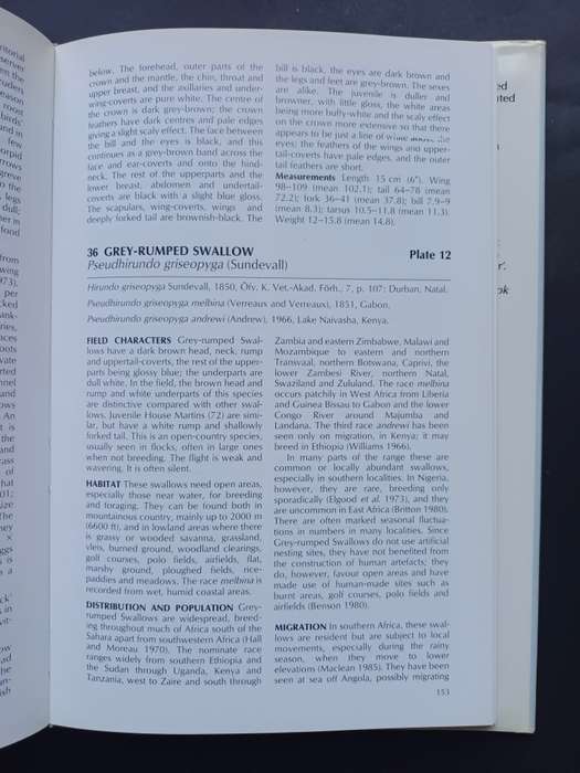 A Handbook to the Swallows and Martins of the World / Angela Turner & Chris Rose
