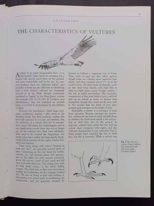 THE VULTURES OF AFRICA / Peter Mundy - Duncan Butchart - John Ledger - Steven Piper
