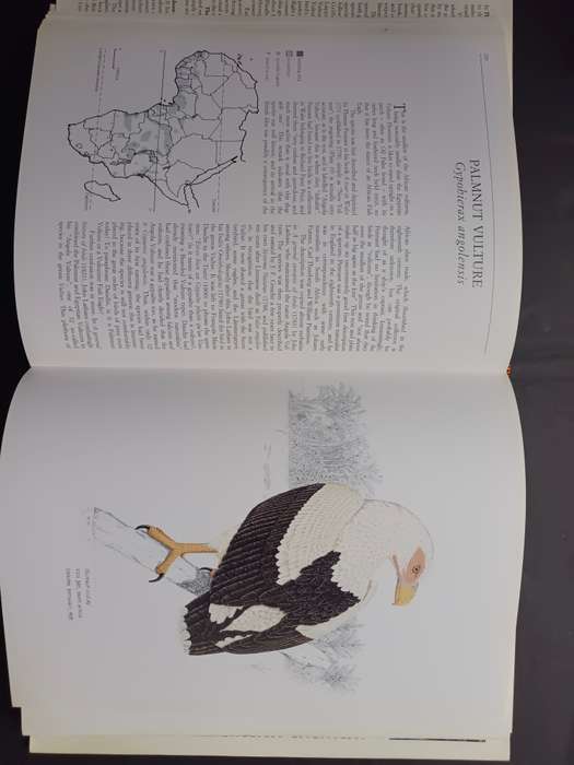 THE VULTURES OF AFRICA / Peter Mundy - Duncan Butchart - John Ledger - Steven Piper