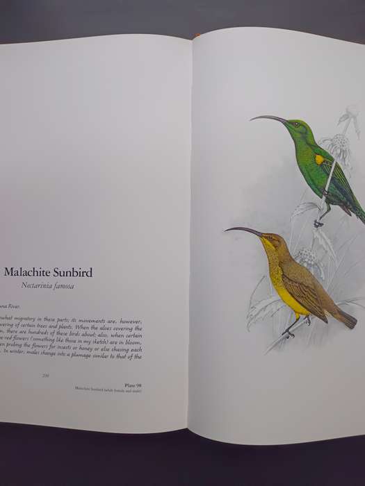 The Bird Paintings of C.G. Finch-Davies : Southern Africa's finest bird artist