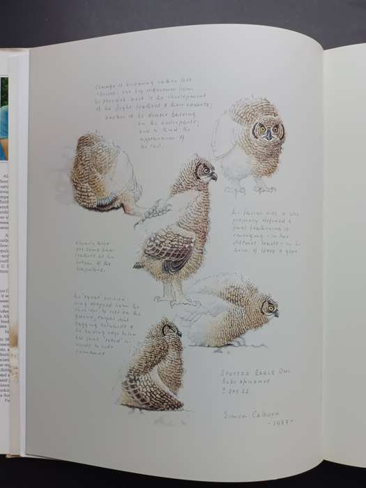 THE OWLS OF SOUTHERN AFRICA / ALAN KEMP & SIMON CALBURN