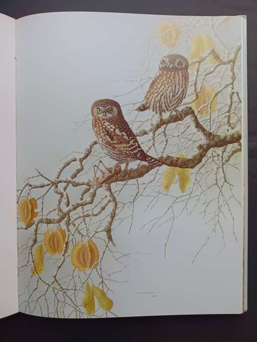 THE OWLS OF SOUTHERN AFRICA / ALAN KEMP & SIMON CALBURN