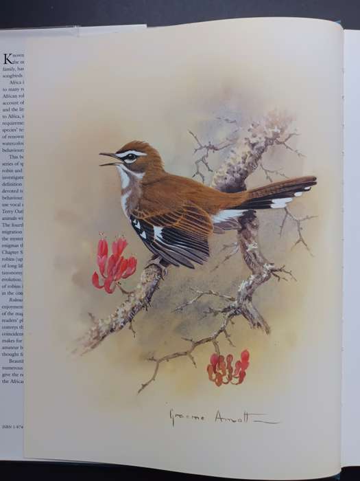 Robins of Africa / Terry Oatley & Graeme Arnot
