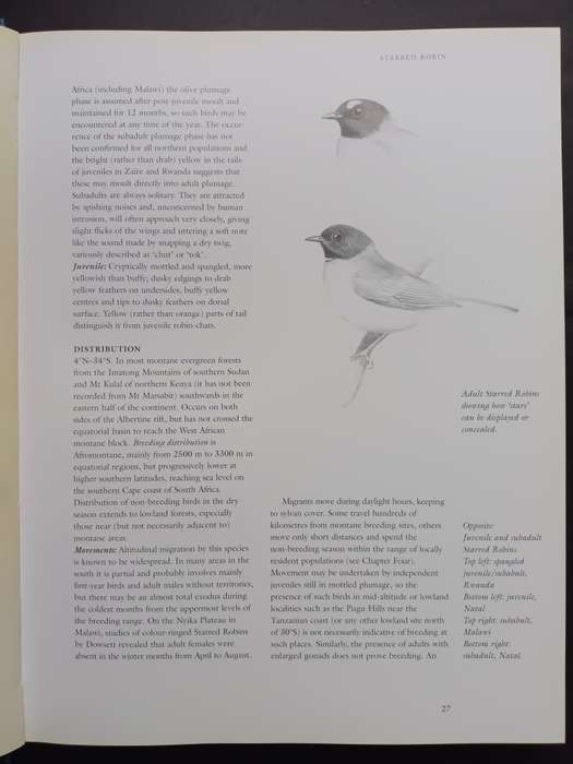 Robins of Africa / Terry Oatley & Graeme Arnot