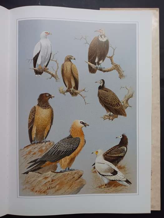 Hunters of the African Sky / Peter Steyn & Graeme Arnott