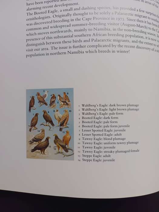 Hunters of the African Sky / Peter Steyn & Graeme Arnott