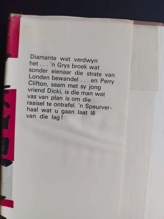 Die man met die grys broek / Wolfgang Ecke