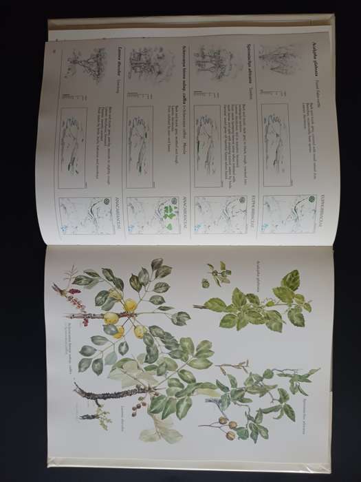 Trees & Shrubs of the Witwatersrand, Magaliesberg & Pilanesberg / J. van Gogh & J. Anderson (SIGNED)