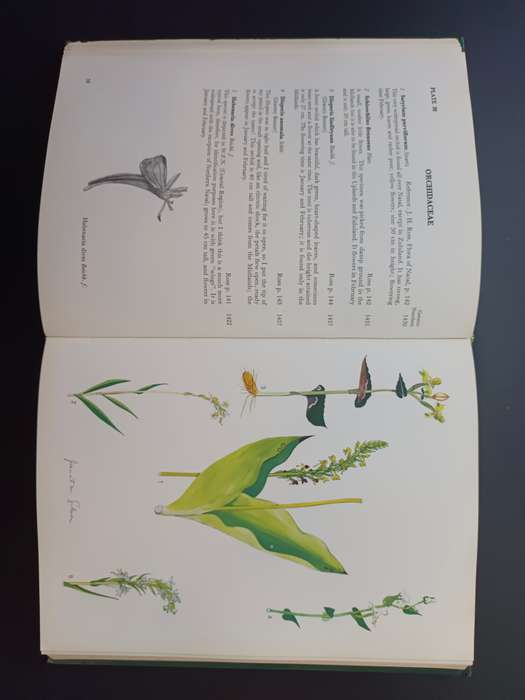 Wild Flowers of Natal ( Inland Region) / Jant M Gibson (Signed & Limited Edition)