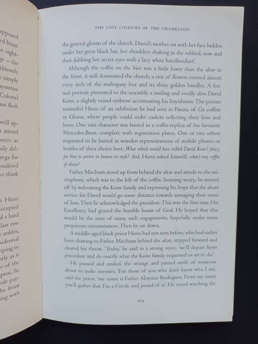 The Lost Colours of the Chameleon / Mandla Langa
