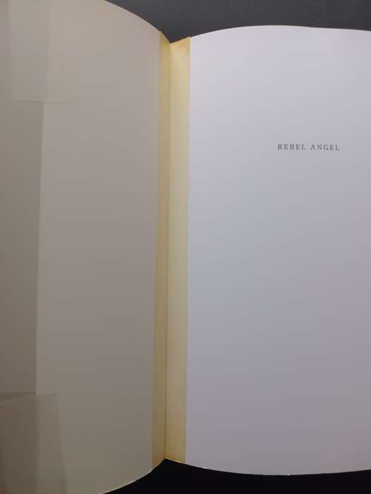 Rebel Angel / Robin Malan