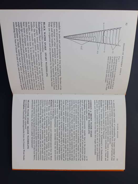 A Field Guide to the Snakes of Southern Africa / V.F.M. FitzSimons