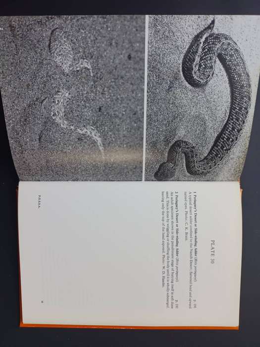 A Field Guide to the Snakes of Southern Africa / V.F.M. FitzSimons