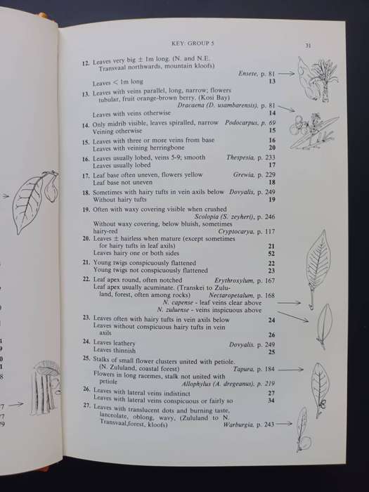 A Field Guide to the Trees of Southern Africa / Eve Palmer and Rhona Collett