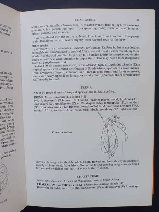 A Field Guide to the Trees of Southern Africa / Eve Palmer and Rhona Collett