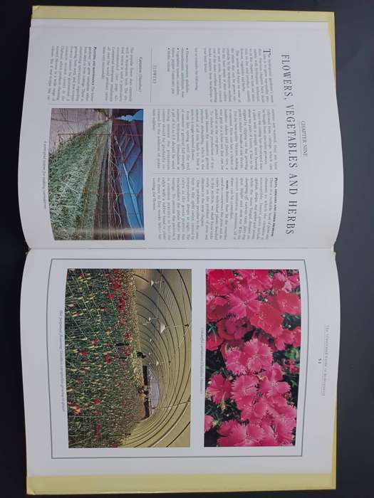 The Illustrated Guide to Hydroponics / Dudley Harris (Hardcover)