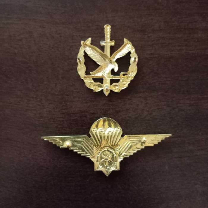 SAPS, SPECIAL TASK FORCE - 2ND TYPE OPERATOR BADGE & PARACHUTE WINGS - (COMBO SET)
