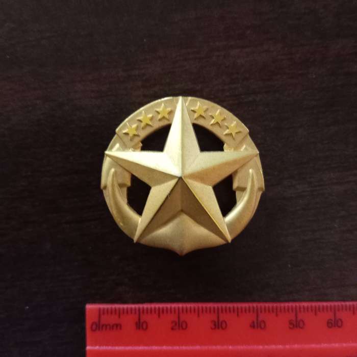 US NAVY COMMAND AT SEA INSIGNIA