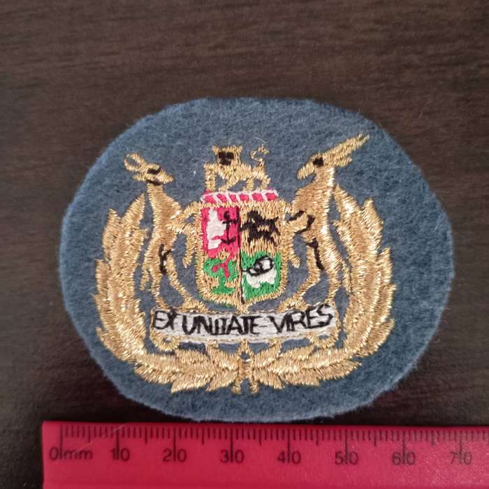 SADF, AIRFORCE, REGIMENTAL, SERGANT MAJOR,  WO1