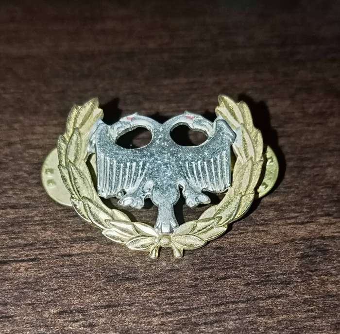 SA AIR FORCE, PROTECTION FORCE BREAST BADGE