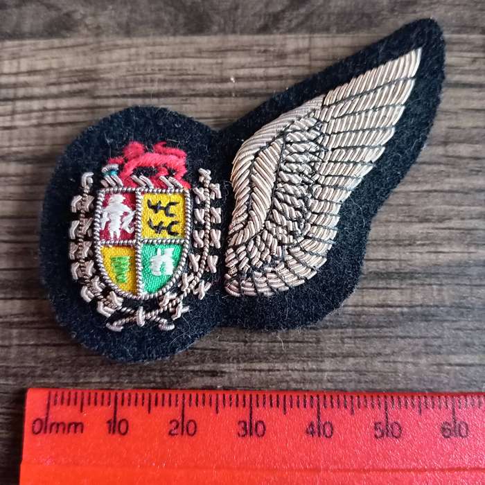 SADF, AIR FORCE NAVIGATORS HALF WING BADGE