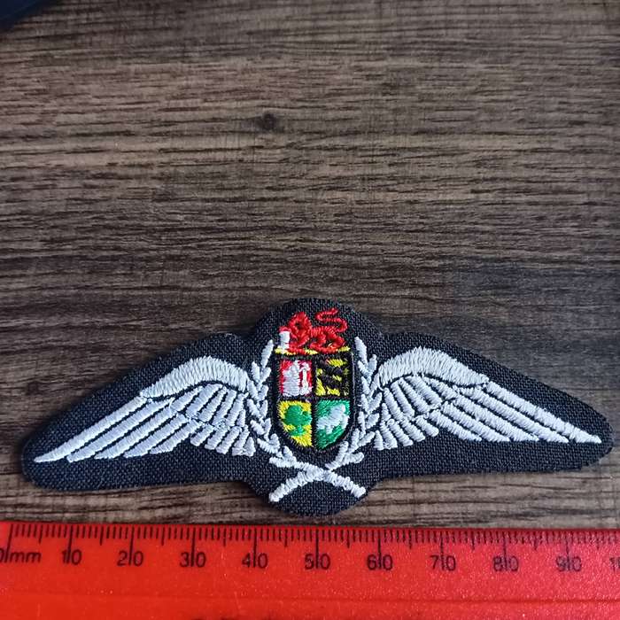 SADF, AIR FORCE NAVIGATORS WING BADGE