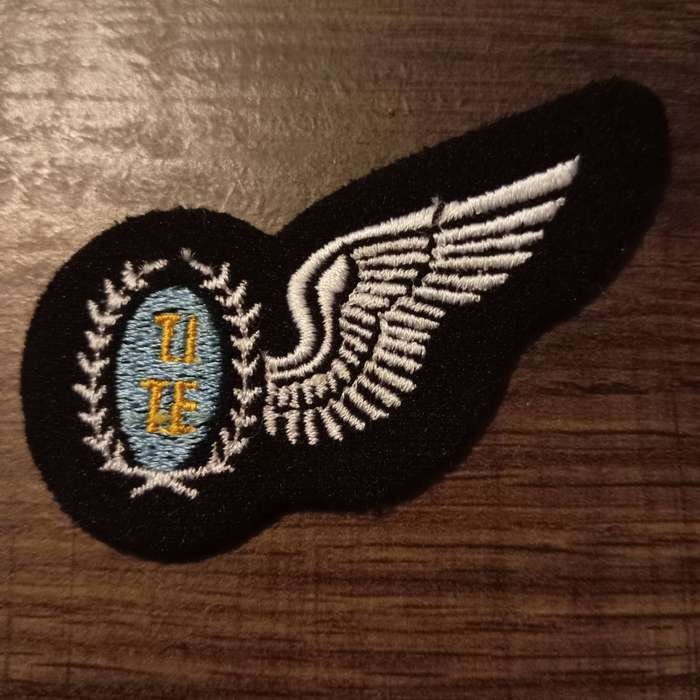 SADF, AIR FORCE TEST ENGINEER HALF WING BADGE