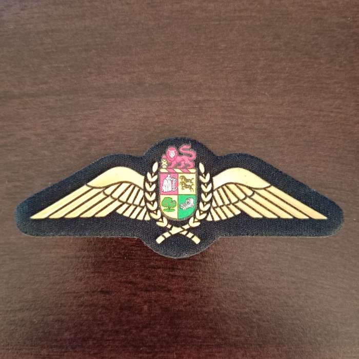 SADF, AIR FORCE NAVIGATORS WING BADGE