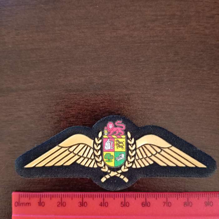 SADF, AIR FORCE NAVIGATORS WING BADGE