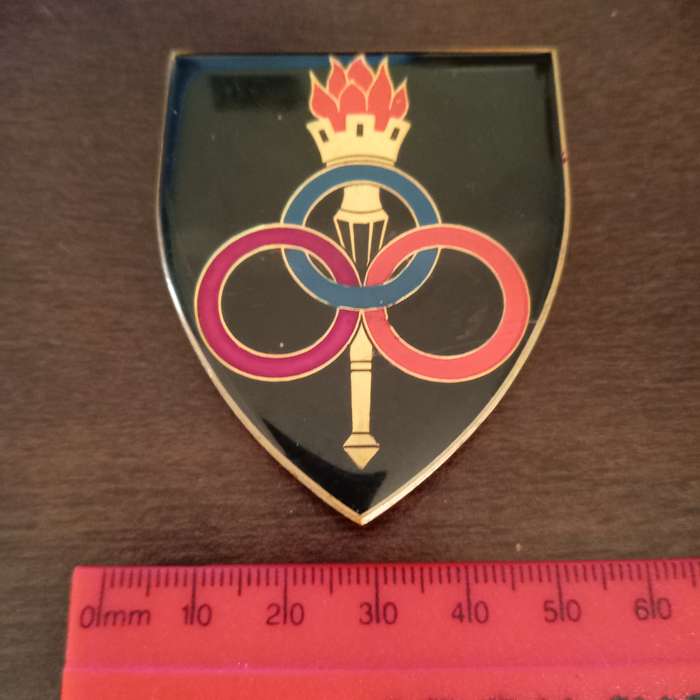 SADF, SOUTH AFRICAN ARMY ORDNANCE SERVICES SCHOOL METAL ARM FLASH