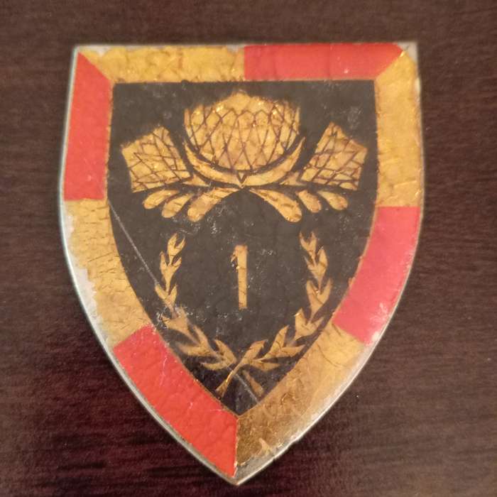 SADF, SOUTH AFRICAN 1 SPECIAL SERVICE BATTALION ARM FLASH