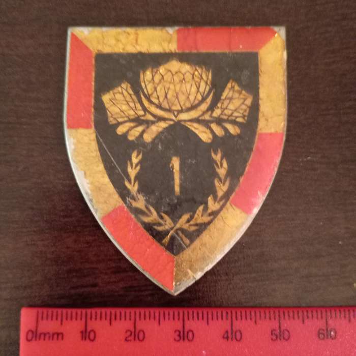 SADF, SOUTH AFRICAN 1 SPECIAL SERVICE BATTALION ARM FLASH