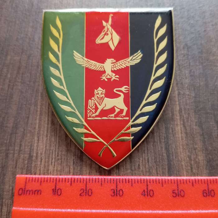 SADF, SA ARMY JOINT CHIEFS COMBAT FORCES ARM FLASH BADGE